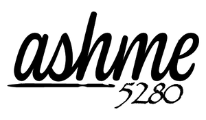 ashme5280