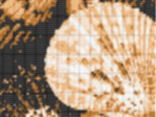 Load image into Gallery viewer, Sea Shells Graphgan Lap Blanket - PDF Download Pattern Only