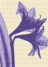 Load image into Gallery viewer, Spring Flowers Lap Blanket - PDF Download Pattern Only