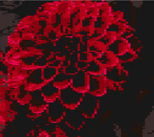 Load image into Gallery viewer, Red &amp; Black Flowers Lap Blanket - PDF Download Pattern Only
