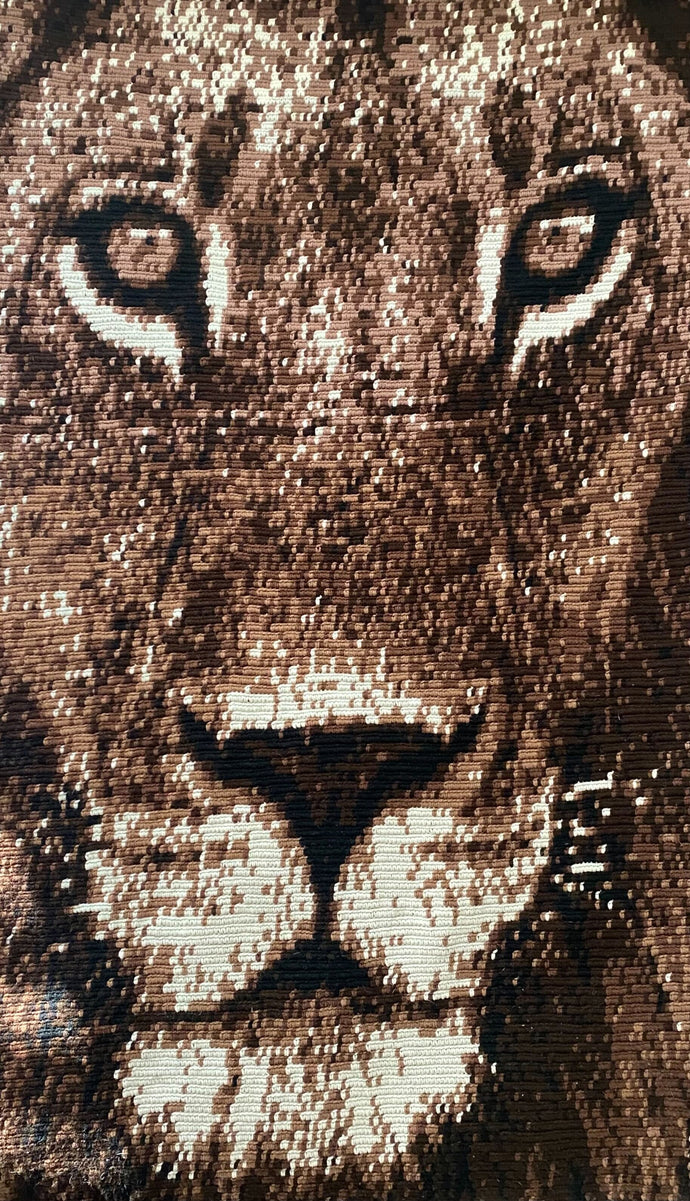 Lion Graphgan Lap Blanket - PDF Download Pattern Only